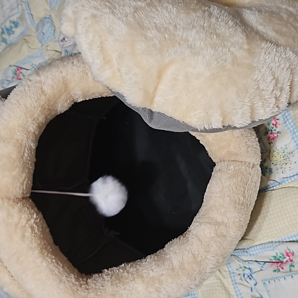 Kitty bed - Picture 3 of 8